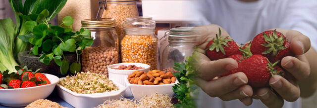 Nutrition Tips for Children